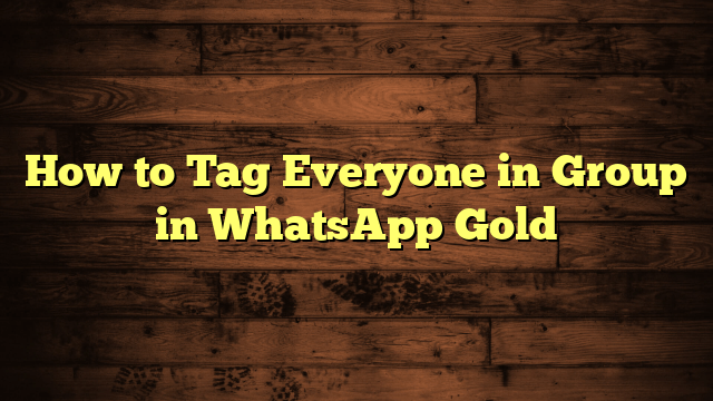 How to Tag Everyone in Group in WhatsApp Gold